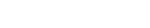 Logo Penna Auto Bianco